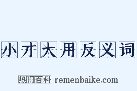 小才大用反义词是什么意思的图片